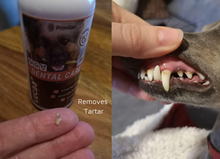 Load image into Gallery viewer, LUCAA+ Pet Probiotic Dental Care - 100ml Spray
