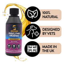 Load image into Gallery viewer, Salmon Oil for Joint &amp; Mobility Support - Omega Bounce
