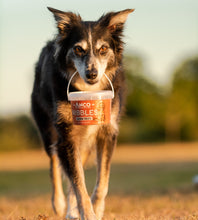 Load image into Gallery viewer, Anco Nibbles Salmon Treats 300g
