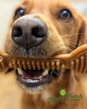 Load image into Gallery viewer, MaksPatch - BumpiBone - Fruit &amp; Veg Dental Bone.
