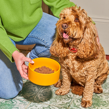 Load image into Gallery viewer, Gently Steamed Recipe - Chicken for Dogs 395g
