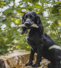 Load image into Gallery viewer, Anco Easy Antlers (Split)
