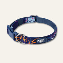 Load image into Gallery viewer, Apex® Collar - Nebula
