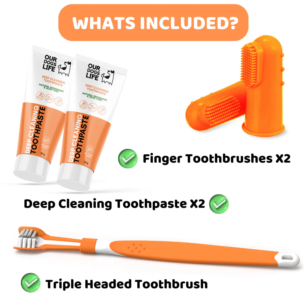 Dog Toothbrushes and Toothpaste Perfectly Pawsome