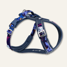 Load image into Gallery viewer, Apex® Harness - Nebula
