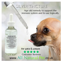 Load image into Gallery viewer, Silver Tincture (colloidal silver) 100ml
