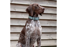 Load image into Gallery viewer, ANCOL EXTREME+ COLLAR WITH GRAB HANDLE - REDUCED TO CLEAR
