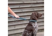 Load image into Gallery viewer, ANCOL EXTREME+ LEAD SHOCK ABSORB 120X2.5CM - REDUCED TO CLEAR
