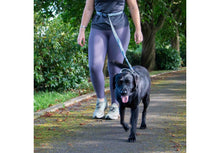 Load image into Gallery viewer, ANCOL EXTREME+ RUNNING LEAD SHOCK ABSORB 180X2.5CM - REDUCED TO CLEAR (Copy)
