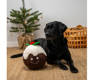 Ancol Colin Christmas Pudding