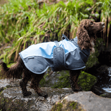 Load image into Gallery viewer, Henry Wag Waterproof Dog Coat
