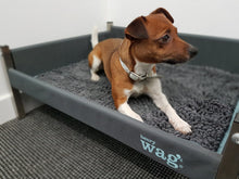 Load image into Gallery viewer, Henry Wag Microfibre Noodle Pet Mat
