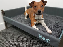 Load image into Gallery viewer, Henry Wag Microfibre Noodle Pet Mat
