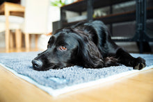 Load image into Gallery viewer, Henry Wag Microfibre Noodle Pet Mat
