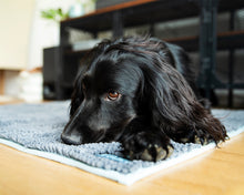 Load image into Gallery viewer, Henry Wag Microfibre Noodle Pet Mat
