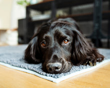 Load image into Gallery viewer, Henry Wag Microfibre Noodle Pet Mat
