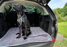 Load image into Gallery viewer, Henry Wag Microfibre Noodle Pet Mat
