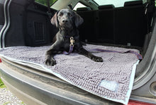 Load image into Gallery viewer, Henry Wag Microfibre Noodle Pet Mat
