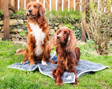 Load image into Gallery viewer, Henry Wag Microfibre Noodle Pet Mat
