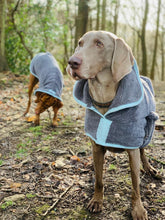 Load image into Gallery viewer, Henry Wag Drying Coat
