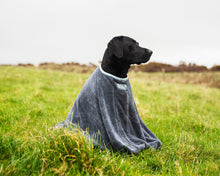 Load image into Gallery viewer, Henry Wag Dog Drying Bag
