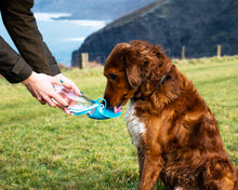 Load image into Gallery viewer, Henry Wag Pet Water Bottle With Leaf Bowl

