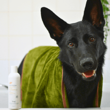 Load image into Gallery viewer, Henry Wag Refresh Dog Towel
