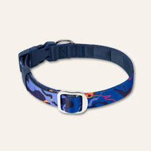 Load image into Gallery viewer, Apex® Collar - Nebula
