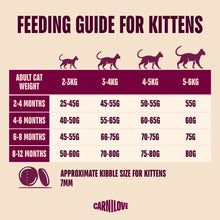 Load image into Gallery viewer, NEW ACTIVE SALMON &amp; TURKEY KITTEN FOOD
