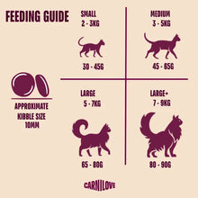 Load image into Gallery viewer, NEW ACTIVE DUCK &amp; PHEASANT CAT FOOD
