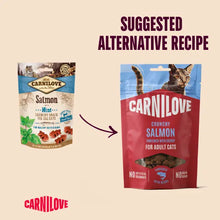 Load image into Gallery viewer, NEW SALMON WITH CATNIP CRUNCHY CAT TREATS 50g
