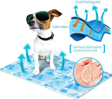 Load image into Gallery viewer, All For Paws Chill Out Always Cool Dog Mat
