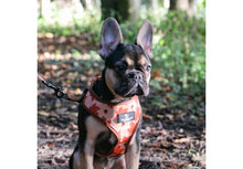 Load image into Gallery viewer, ANCOL  MAPLE LEAF /WOODLAND REVERSIBLE HARNESS Small 27-49cm - REDUCED TO CLEAR
