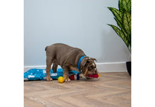 Load image into Gallery viewer, ICE PAWS MINI ICE LOLLY COOLING TOYS
