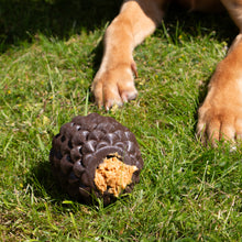 Load image into Gallery viewer, ÖRVA PINE CONE
