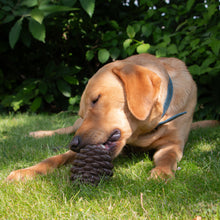 Load image into Gallery viewer, ÖRVA PINE CONE
