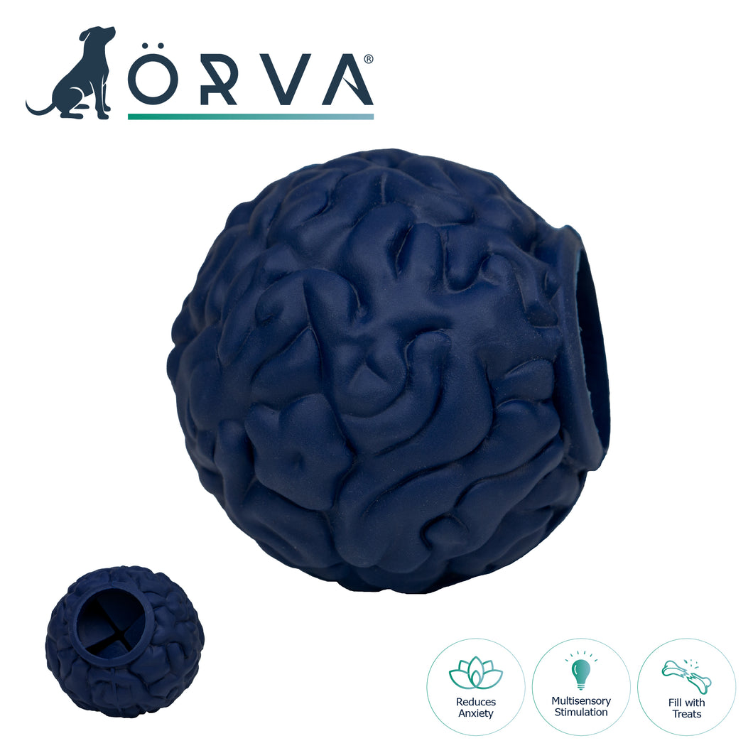 ÖRVA BRAIN BALL