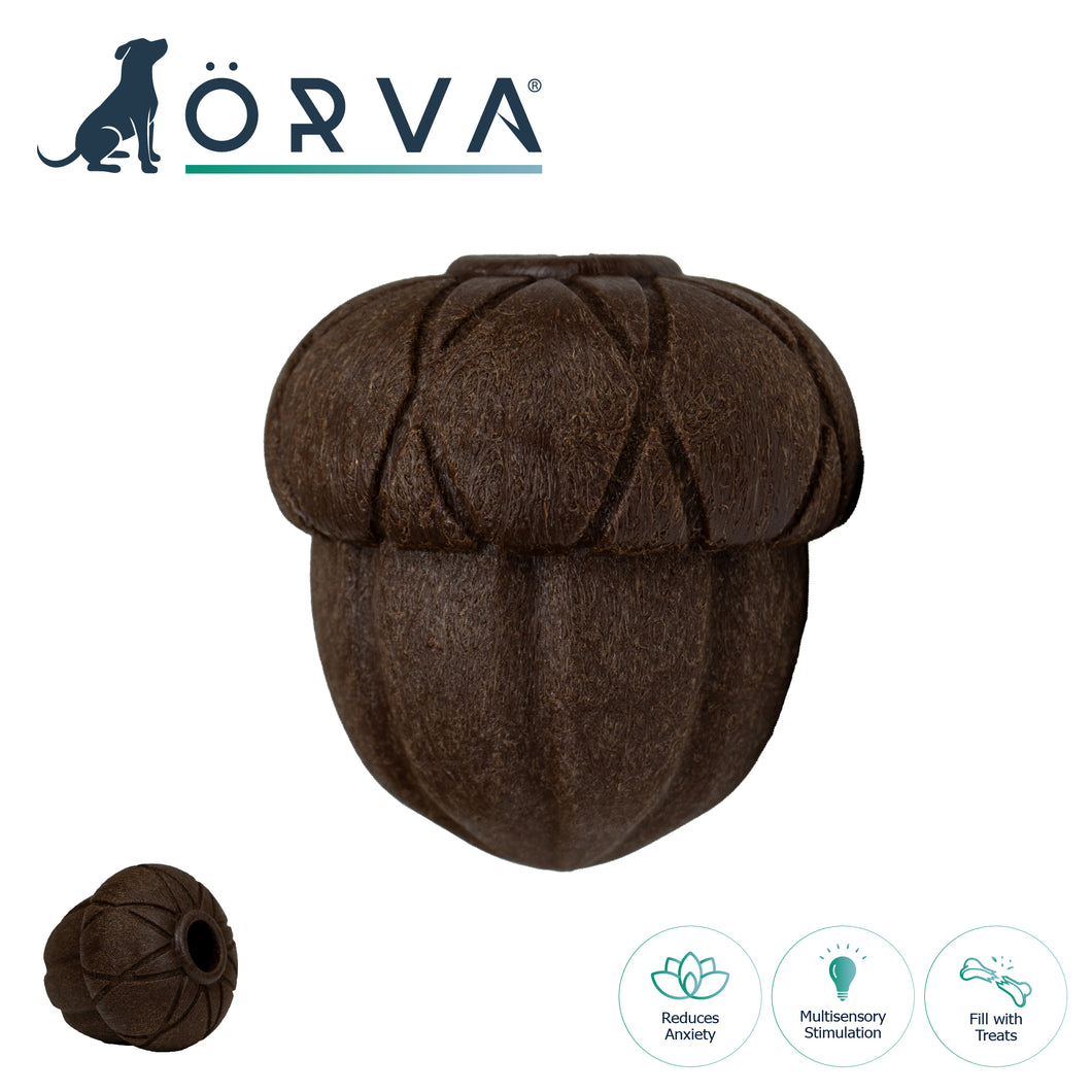 ÖRVA ACORN