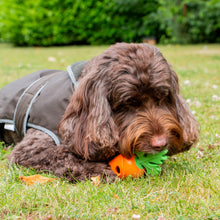 Load image into Gallery viewer, ÖRVA TREAT CARROT
