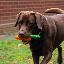 Load image into Gallery viewer, ÖRVA TREAT CARROT
