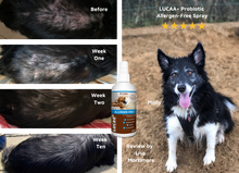 Load image into Gallery viewer, LUCAA+ Pet Probiotic Allergen-Free - 300ml Spray
