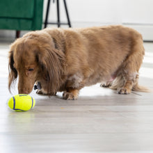 Load image into Gallery viewer, KONG Airdog® Squeaker Football
