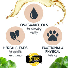 Load image into Gallery viewer, Salmon Oil for Joint &amp; Mobility Support - Omega Bounce

