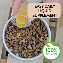 Load image into Gallery viewer, Salmon Oil for Joint &amp; Mobility Support - Omega Bounce
