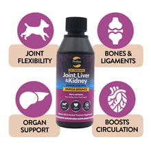 Load image into Gallery viewer, Salmon Oil for Joint &amp; Mobility Support - Omega Bounce
