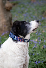 Load image into Gallery viewer, Apex® Collar - Nebula
