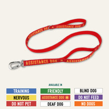 Load image into Gallery viewer, Awareness Close Control Lead
