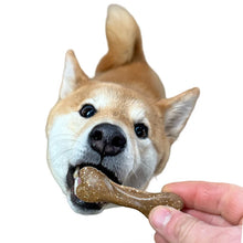 Load image into Gallery viewer, Maks'Patch Bedtime Biscuits
