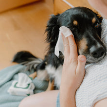 Load image into Gallery viewer, Dog Eye Cleaning Wipes

