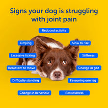 Load image into Gallery viewer, Zooomy Hyaluronic Acid Joint Care for Dogs
